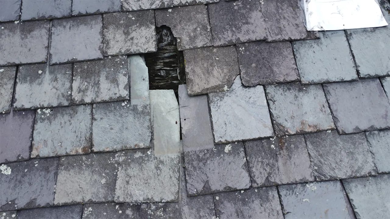 Damaged Roof small company